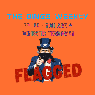 You Are A Domestic Terrorist