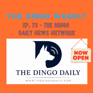 The Dingo Daily News Network