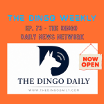 The Dingo Daily News Network