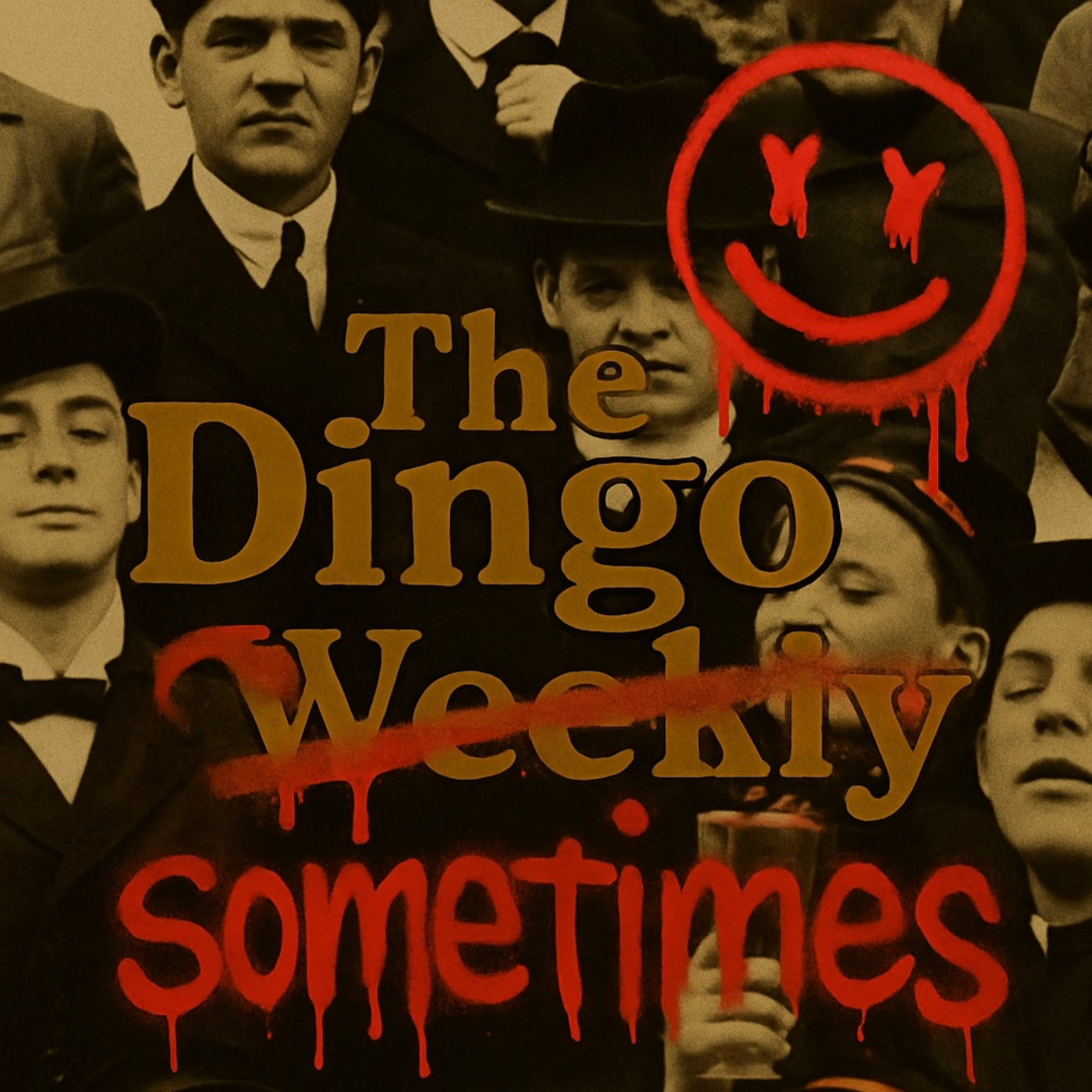 The Dingo Weekly